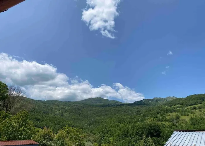 Casa Pet-friendly Ad *